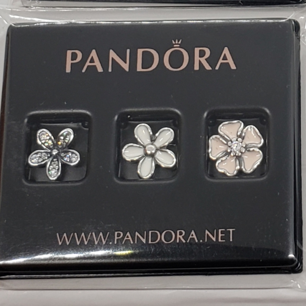 🎁 Authentic Pandora ⭐️RETIRED⭐️ PETITE LOCKET CHARMS